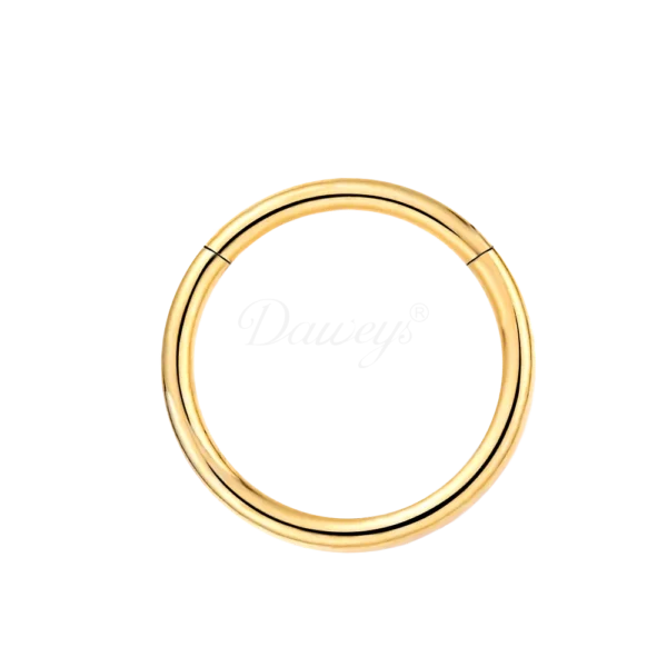 Daweys DS6001 Punk's simple Small Nose ear hoops septum ring piercings Jewelry - Imagen 2