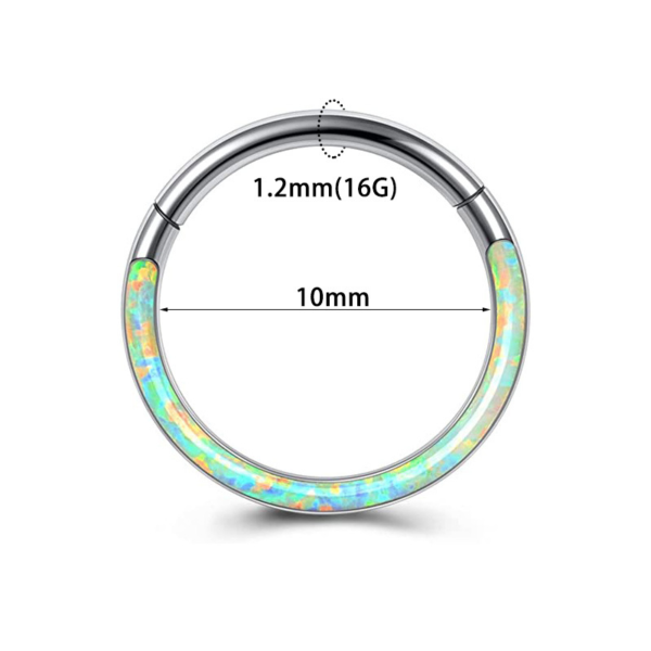 Daweys DS6043 316L F136 Titanium Bicolor Nose Ring - Image 2