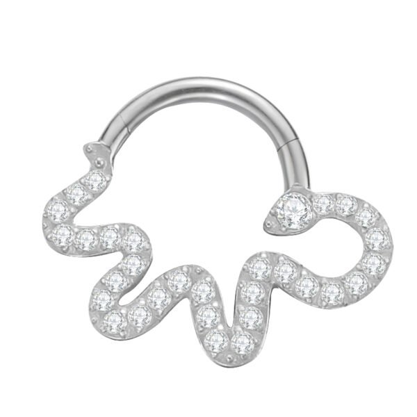 Daweys DS6094 5A Premium Quality Titanium Alloy Zircon Inlay Nose Ring - Image 2