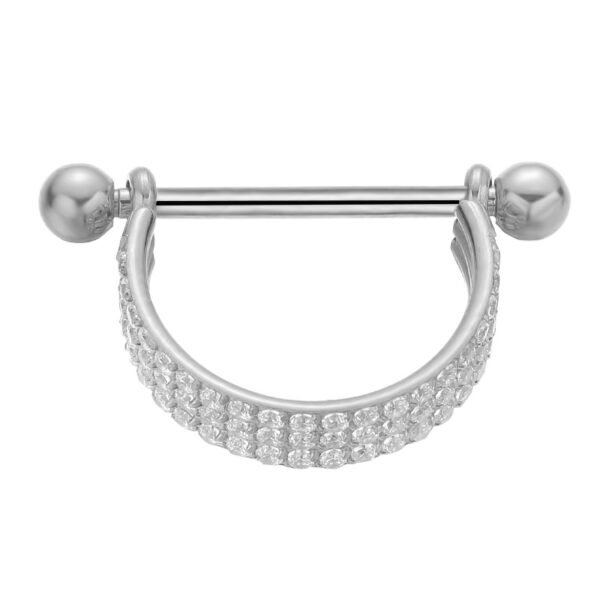 Daweys DSNR013 Nipple Barbell Stylish Titanium Piercing Jewelry for Discerning Taste - Image 2