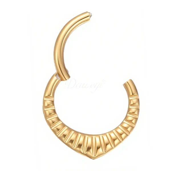 DS6168 titanium textured hinged segment nose ring piercing jewelry by Daweys